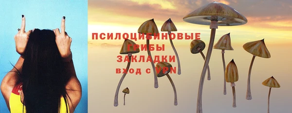 молекула духа Нея