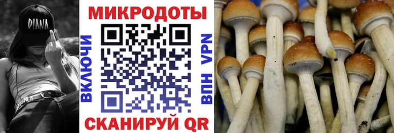 Галлюциногенные грибы GOLDEN TEACHER  shop формула  Алапаевск 